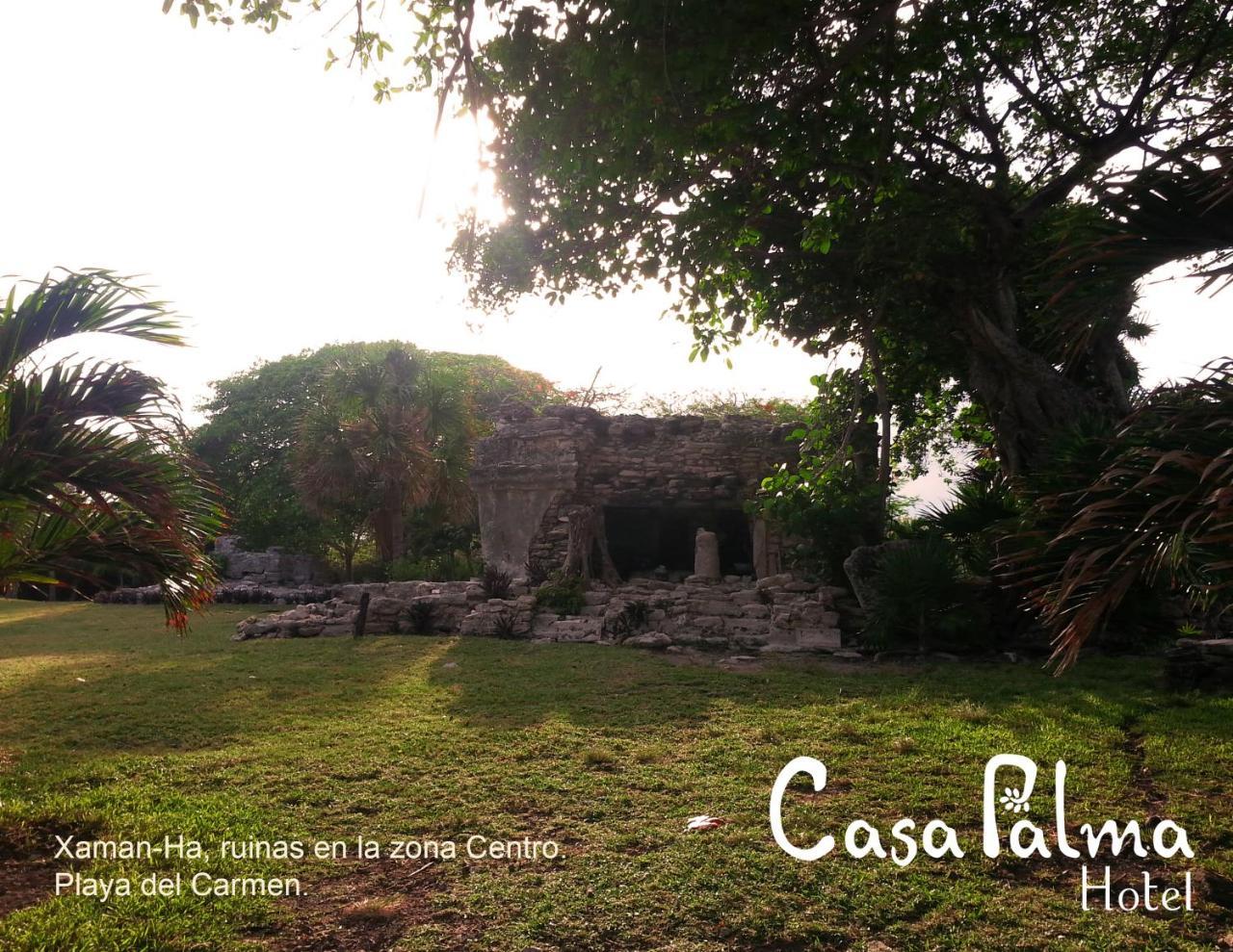 Casa Palma Hotel Playa del Carmen Exterior foto